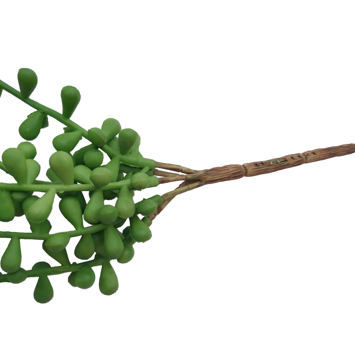 Hanging Succulent String of Pearl Beads 75cm - Image 3