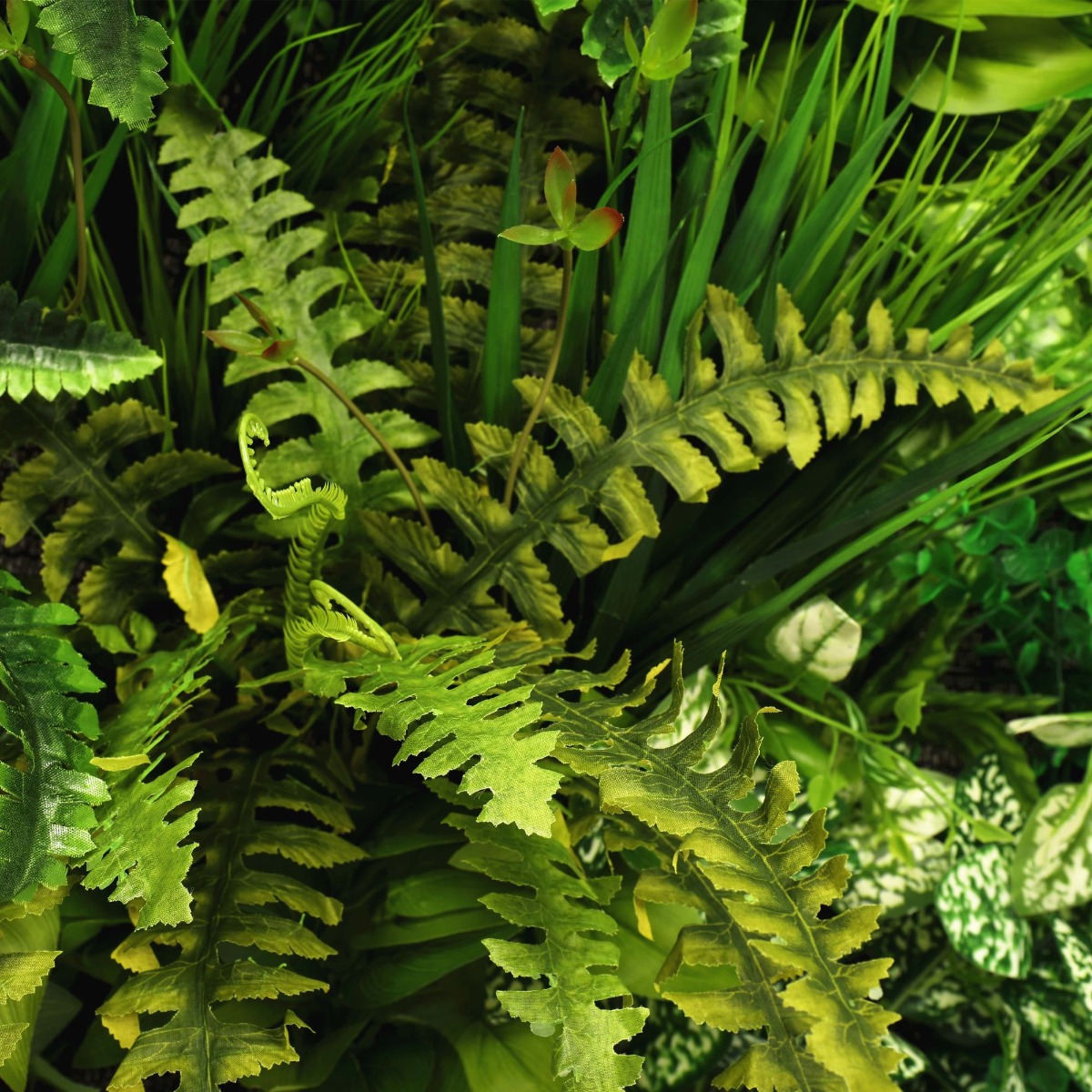 Evergreen Bespoke Vertical Garden / Green Wall 90cm x 90cm (INDOOR ONLY) - Image 2